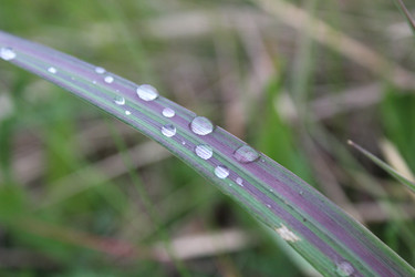 Similar image 21936927