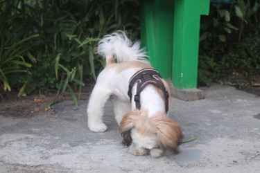 Similar image 21936934