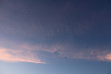 Similar image 21936935