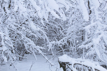 Similar image 21936937