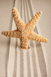 Similar image 21937844