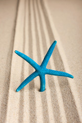 Similar image 21937639