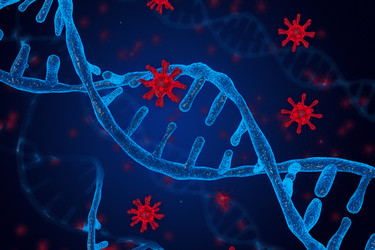 Similar image 21944052