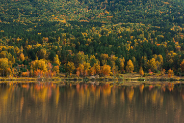 Similar image 21940525