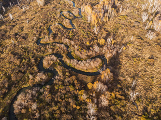 Similar image 21940857