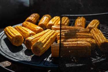 Similar image 21940329