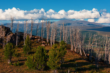 Similar image 21942699