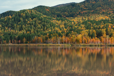 Similar image 21943604