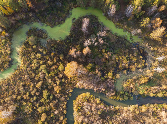 Similar image 21935896