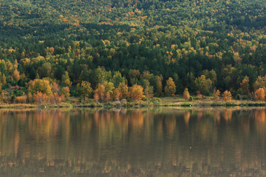 Similar image 21940685