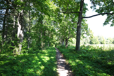 Similar image 21911464