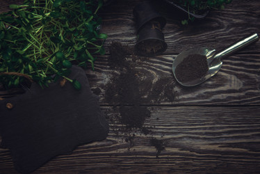 Similar image 21942708