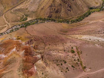 Similar image 21943845