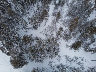 Similar image 21940686