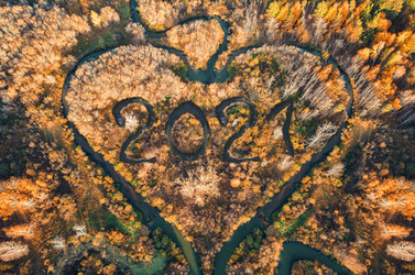 Similar image 21941103