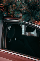 Similar image 21942714