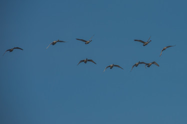 Similar image 21946043