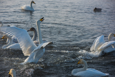 Similar image 21936348