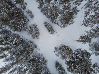 Similar image 21936354