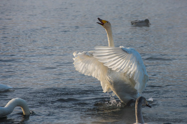 Similar image 21939577