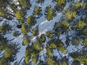 Similar image 21939587