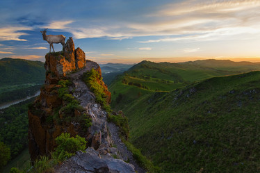 Similar image 21940344