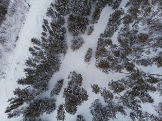 Similar image 21942003