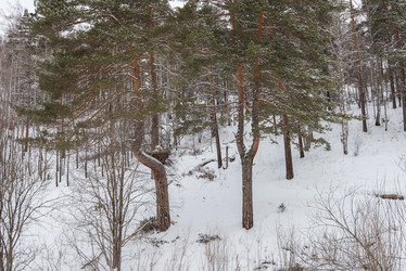 Similar image 21936386