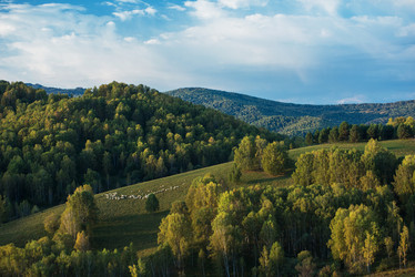 Similar image 21939593