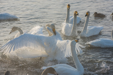 Similar image 21940349