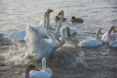 Similar image 21940353