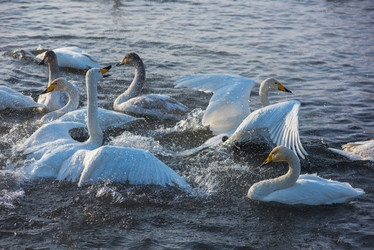 Similar image 21940357