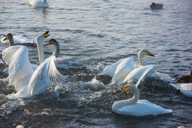 Similar image 21940359