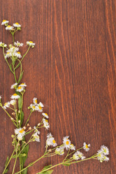 Similar image 21937645