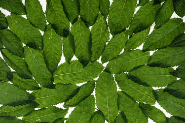 Similar image 21937647