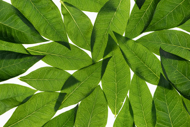 Similar image 21937651