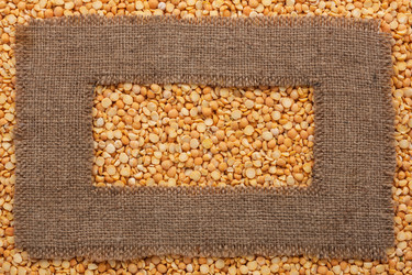 Similar image 21937662