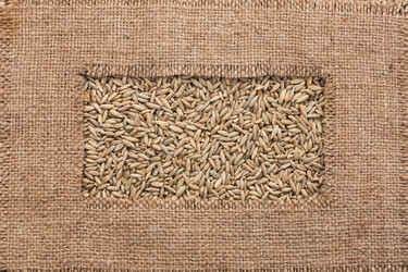 Similar image 21937677