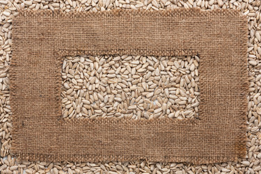 Similar image 21937679