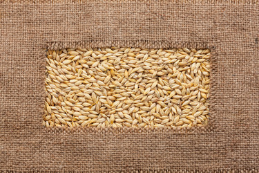 Similar image 21937681