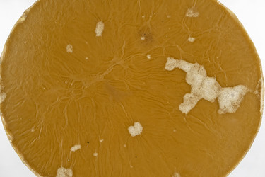 Similar image 21937694