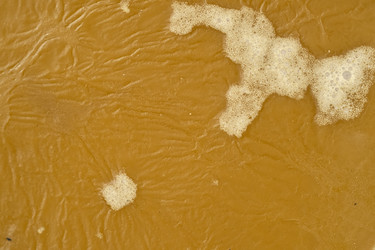 Similar image 21937697