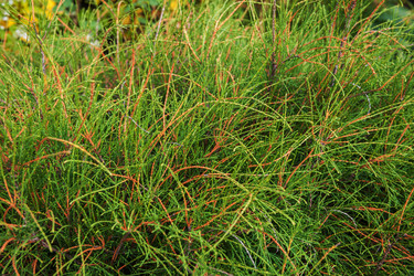 Similar image 21940480