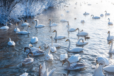 Similar image 21940729