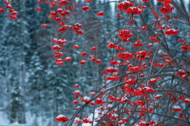 Similar image 21941292