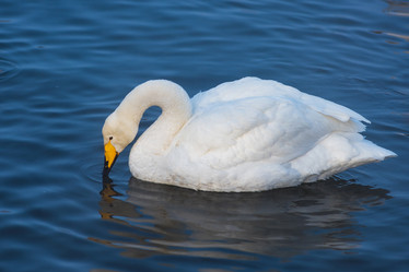 Similar image 21941499