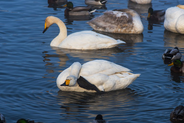 Similar image 21941500