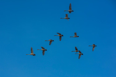 Similar image 21941630