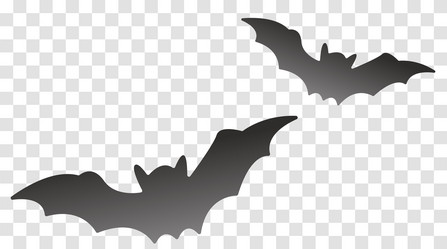 Similar image 21938081