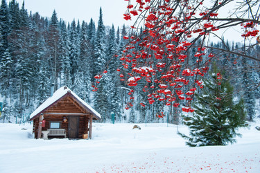 Similar image 21946056